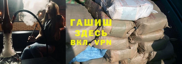 индика Мегион