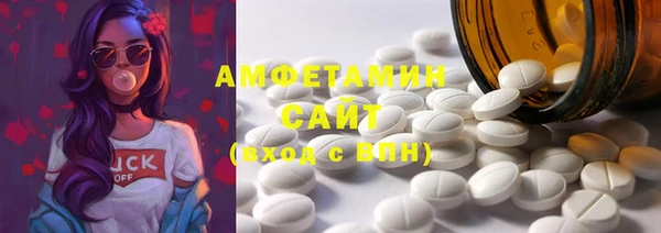 индика Мегион