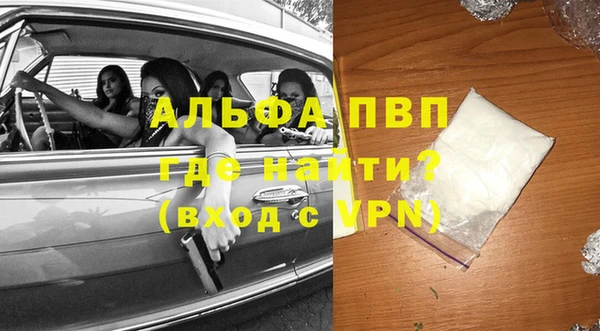 индика Мегион