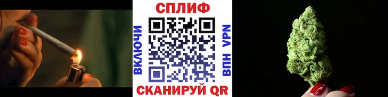 Купить где  Приволжский  МАРИХУАНА ГИДРОПОН 